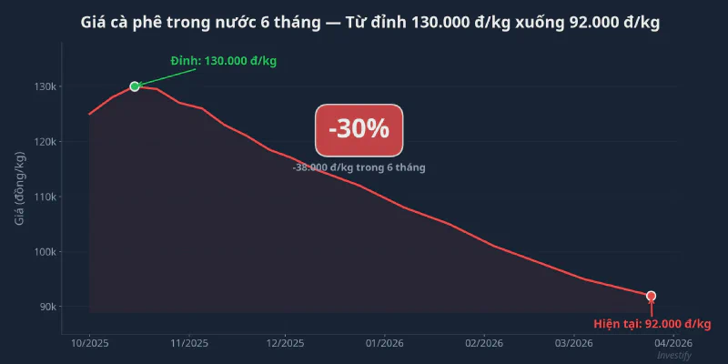 Giá cà phê trong nước giảm 30% trong 6 tháng
