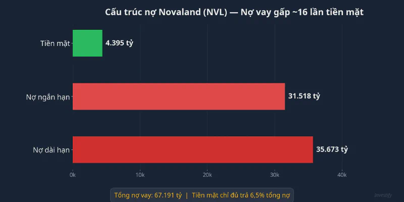 Biểu đồ cấu trúc nợ Novaland