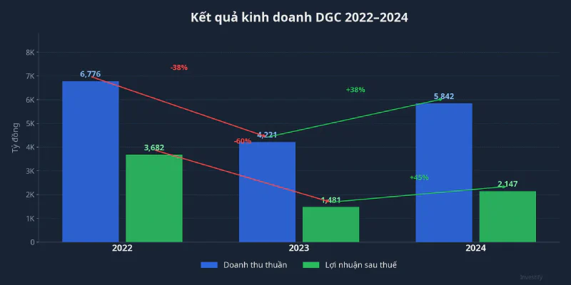 Kết quả kinh doanh DGC 2022–2024