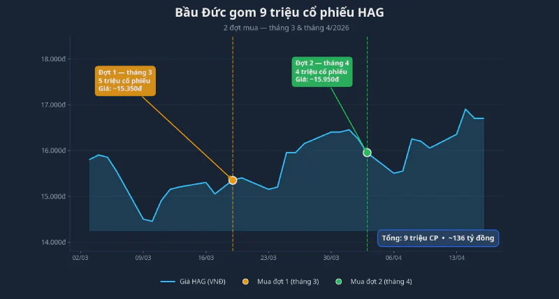 Biểu đồ hai đợt mua cổ phiếu HAG của bầu Đức trong tháng 3 và tháng 4/2026