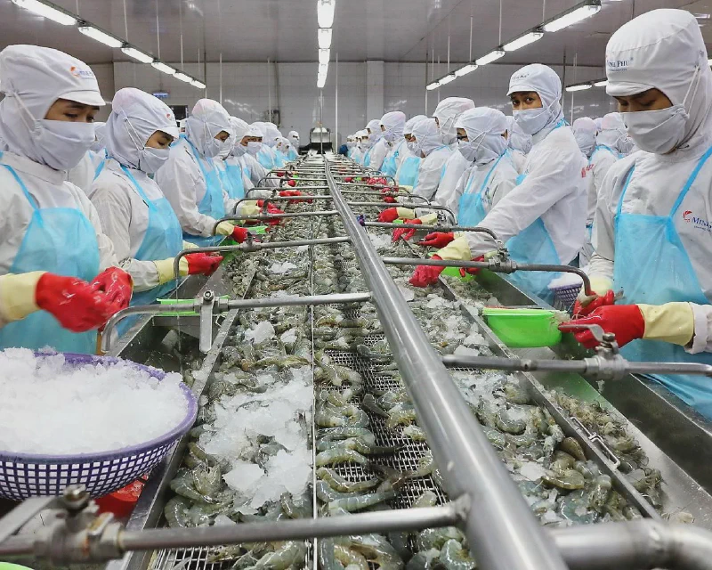 MPC lãi gấp 12 lần: Cơ chế đòn bẩy và tồn kho 5.500 tỷ