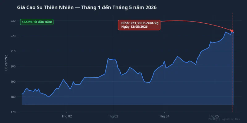 Giá cao su thiên nhiên tháng 1-5/2026, đỉnh 223,30 US cent/kg ngày 12/5