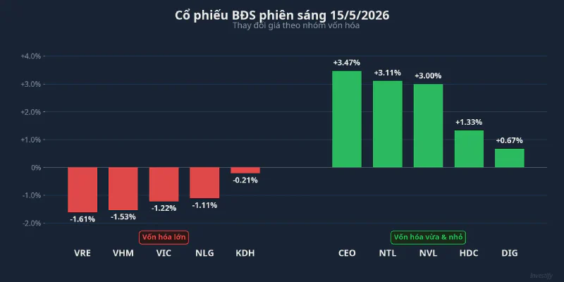 Cổ phiếu BĐS phiên sáng 15/5 — phân hóa theo nhóm vốn hóa