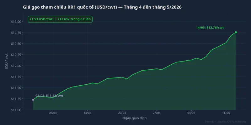 Giá gạo tham chiếu RR1 quốc tế tăng liên tiếp từ tháng 4 đến tháng 5/2026