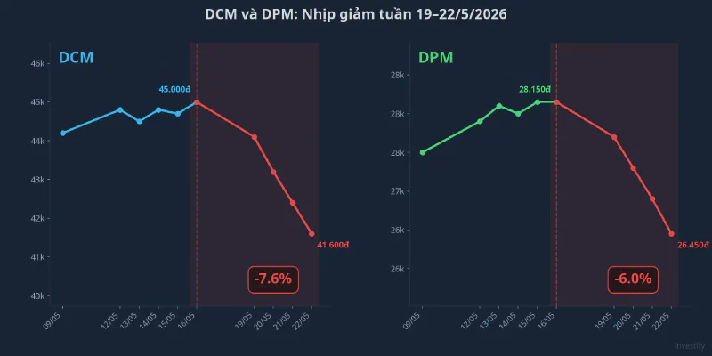 DCM và DPM cùng điều chỉnh trong tuần 19-22/5/2026, song hành với nhịp giảm của giá urê