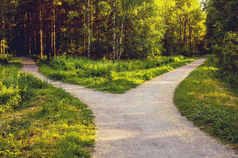 NVL stands at a crossroads