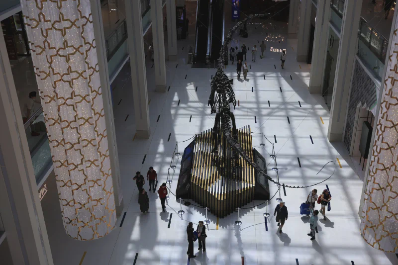 Dubai Mall with sparse foot traffic