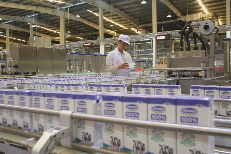 Vinamilk&rsquo;s manufacturing operations — the largest single dividend contributor in SCIC&rsquo;s portfolio
