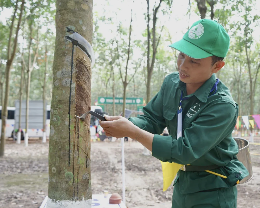 Rubber at a 9-Year Peak: What PHR and DPR Face This Week
