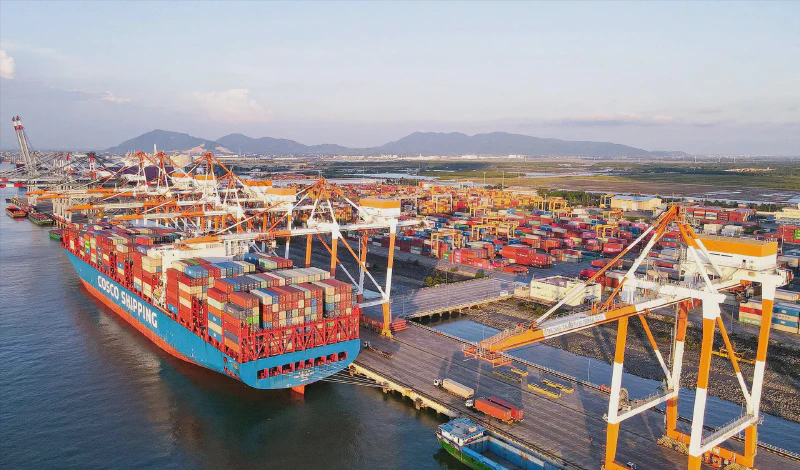 Vietnam Seafood Up 12%, But Risk Has Changed Address