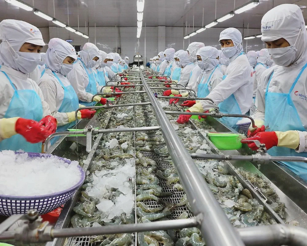 MPC Posts 12x Profit Surge: Operating Leverage and a VND 5,500B Inventory