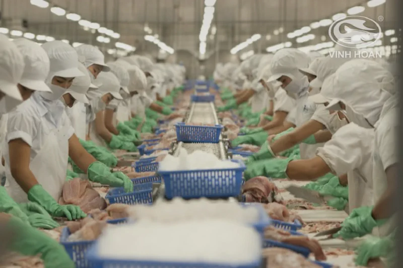Vinh Hoan Corporation&rsquo;s seafood processing plant, one of Vietnam&rsquo;s largest pangasius exporters