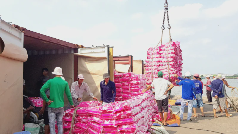 Vietnamese rice being loaded at port for export to Asian markets