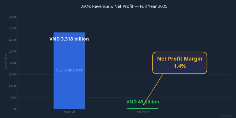 AAN revenue and net profit, full year 2025